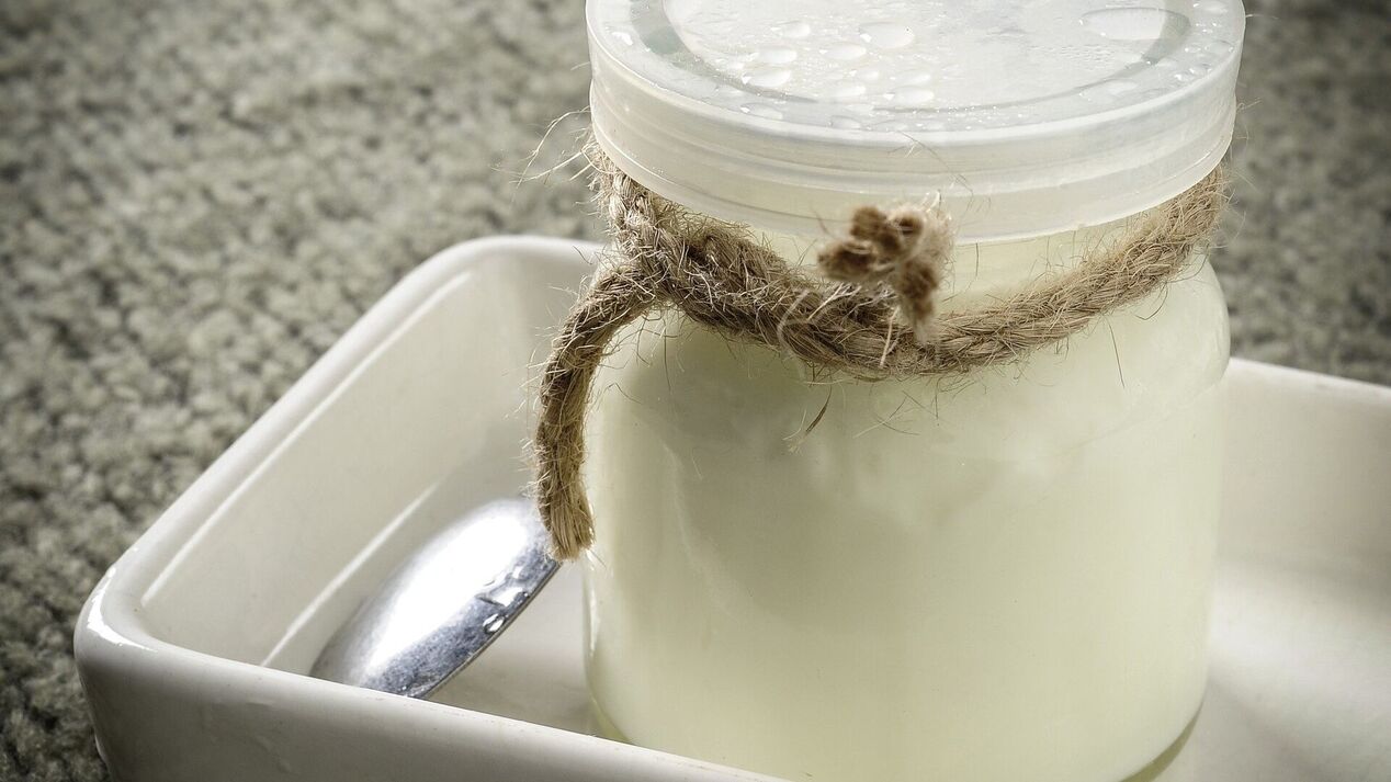 produtos lácteos fermentados no quinto día